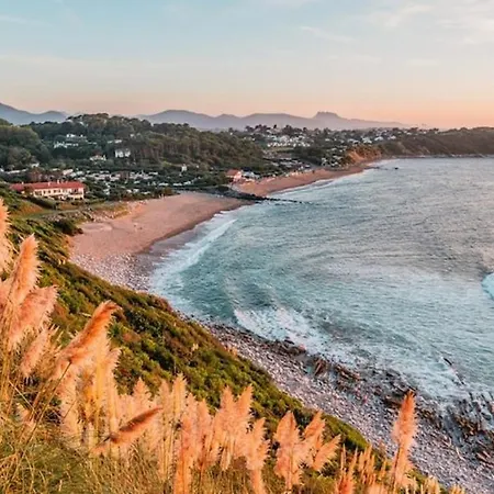 Loft Travel Business *